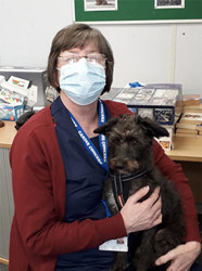 Debbie and her PAT dog