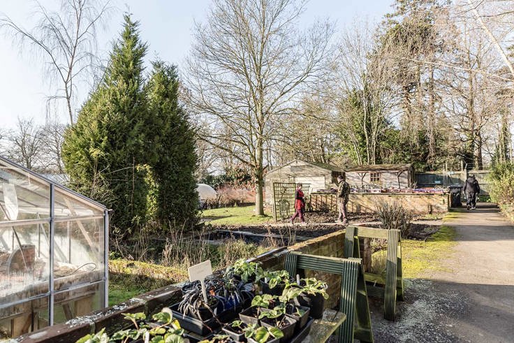 Webbs Garden