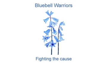 Profile image of Dementia Bluebells 