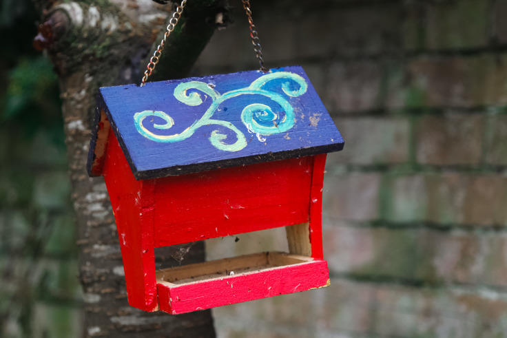 Supporting image: Webbs Garden