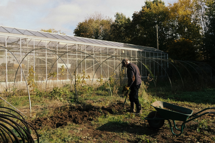 Supporting image: Webbs Garden