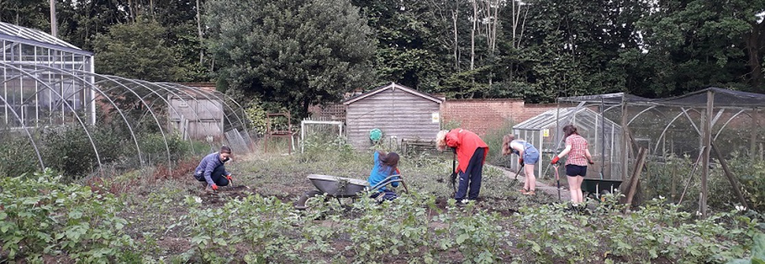 Group and corporate volunteering